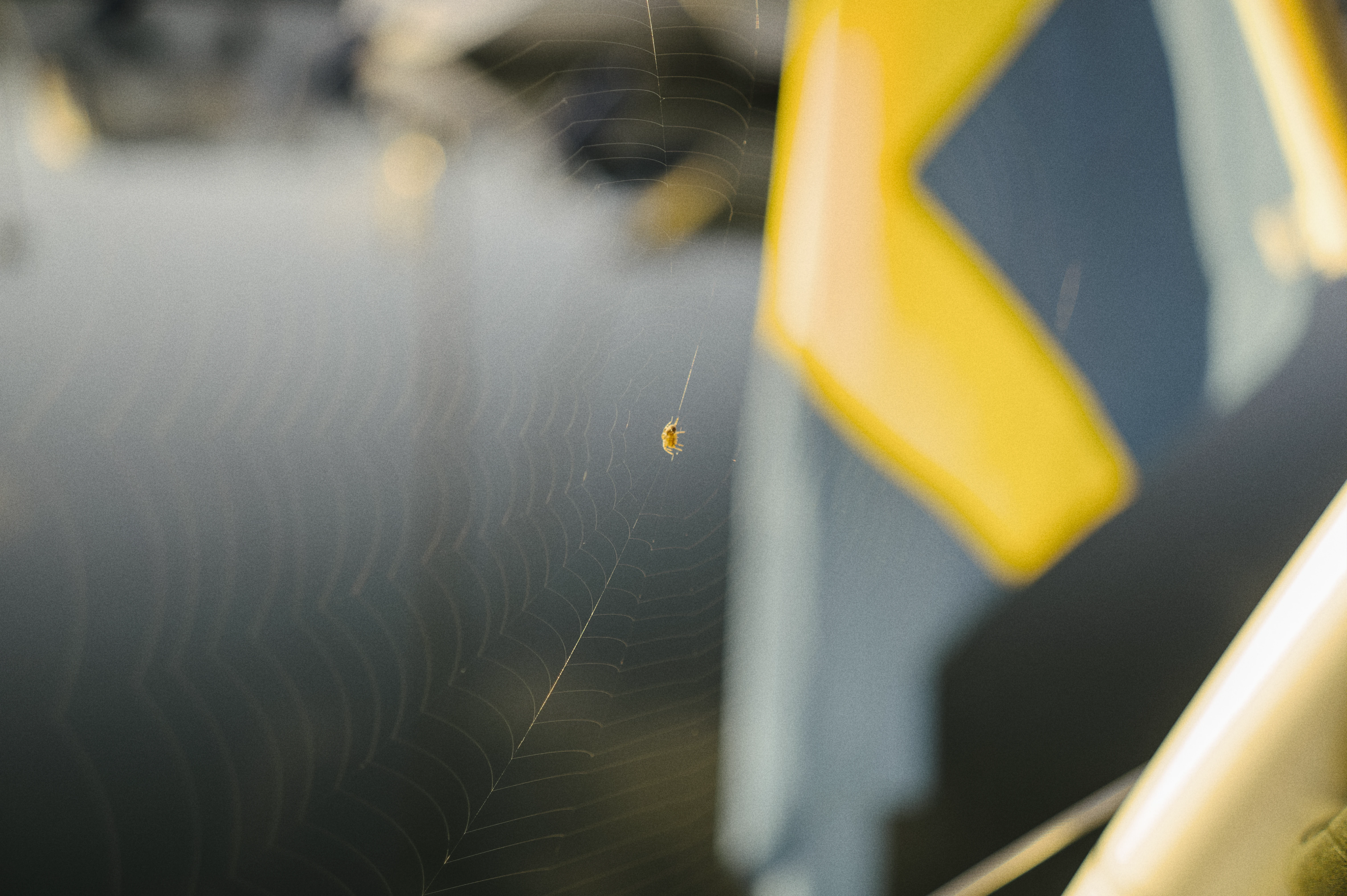 Late summer sailing with golden light over the archipelago